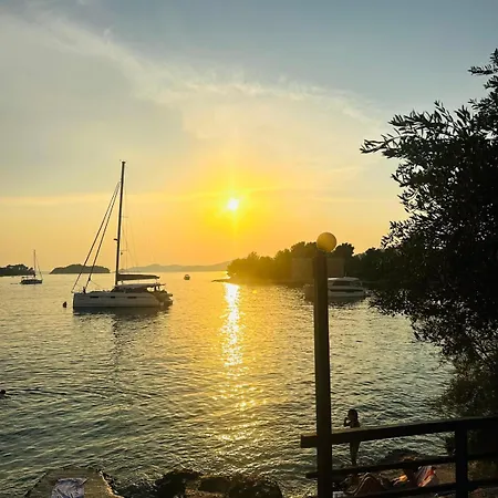 Medusalina-maestrale تروغير