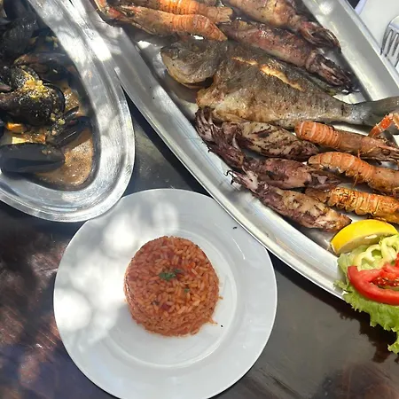 Medusalina-maestrale * تروغير