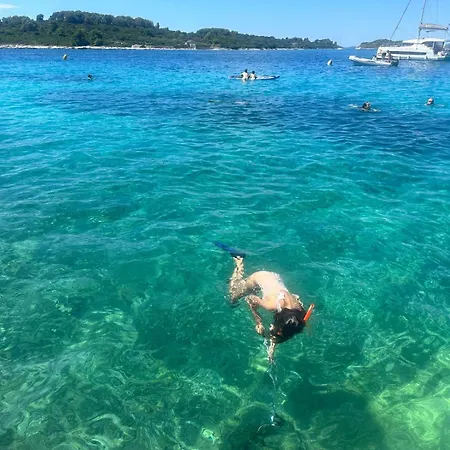 Medusalina-maestrale * Trogir