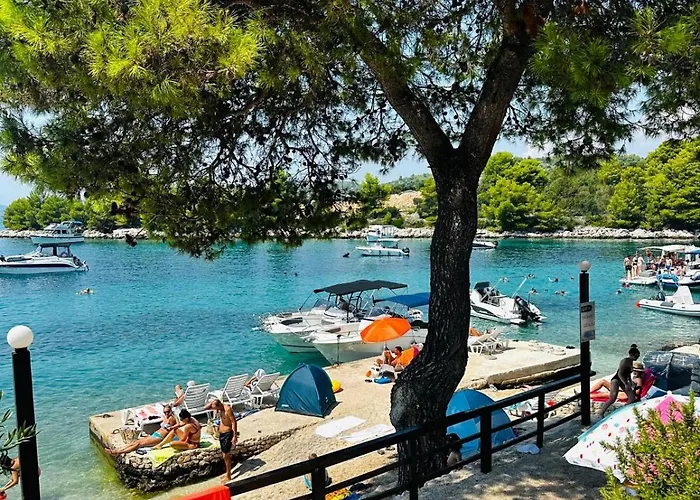 Medusalina-maestrale Trogir