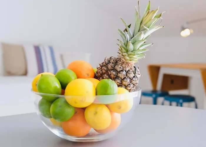 Medusalina-maestrale *