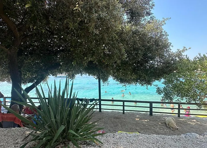 Medusalina-maestrale *